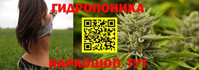 прущие грибы Кулебаки
