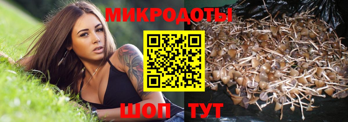 Галлюциногенные грибы GOLDEN TEACHER  Псилоцибиновые грибы прущие грибы  Вход с VPN  Камышин 