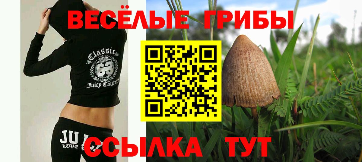Псилоцибиновые грибы прущие грибы Камышин